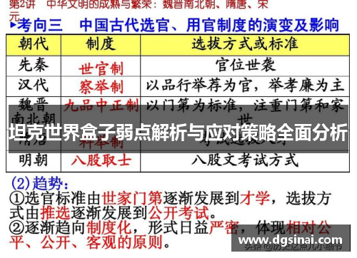 坦克世界盒子弱点解析与应对策略全面分析